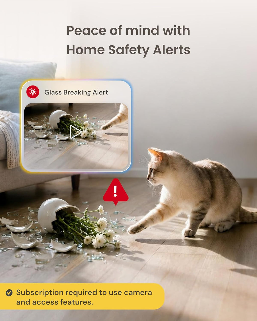 360° Cat Camera + Mini [New Subscription Required at Setup] 2-Camera Bundle Nanny Subscription: Cat Safety & Home