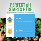 pH Down Liquid Premium Buffering For pH Stability, 1-Gallon