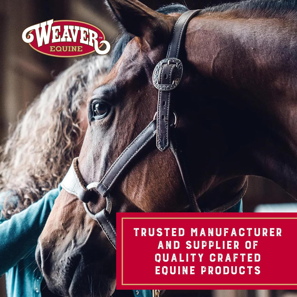Bridle Leather English Spur Straps, Adjustable, 19"