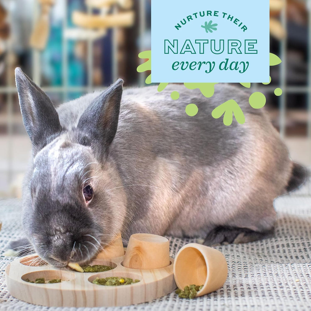 Timothy Hay Hide & Seek Snuffle Mat, Rabbit & Guinea Pig Enrichment | Rabbit Puzzle Mat, Guinea Pig Puzzle Toy
