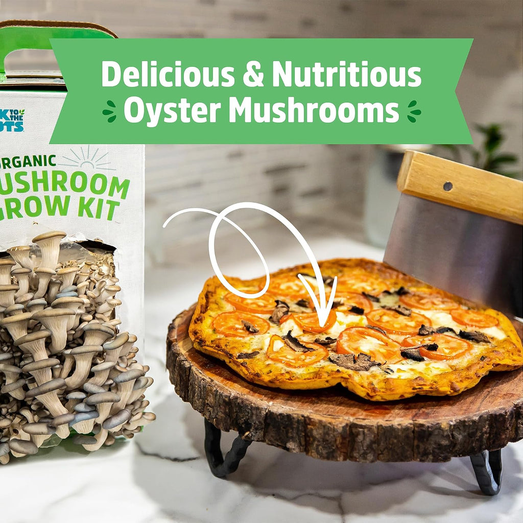 Organic Oyster Mushroom Grow Kit, Harvest Gourmet Mushrooms In 10 Days