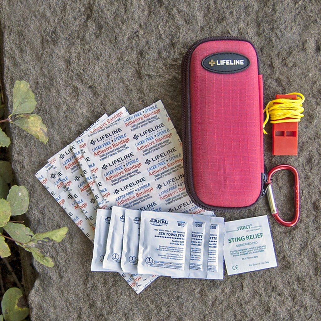 First My Family All-in-One Premium 1-Person, 72-Hour Bug Out Bag for Earthquakes, floods, tsunamis and Other