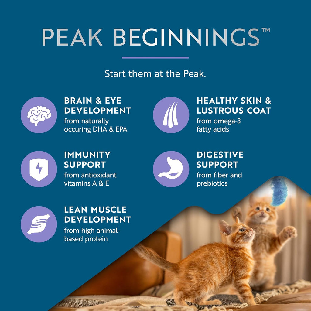 Peak Steam & Dried Chicken with Southern Blue Whiting Recipe for Kittens (1.5 lbs)