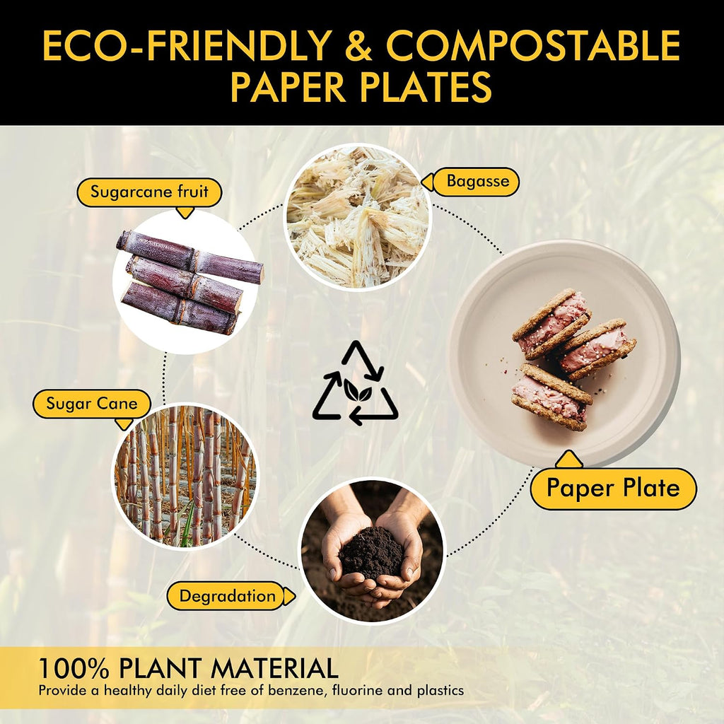 Compostable Paper Plates 10 Inch [150 Pack]