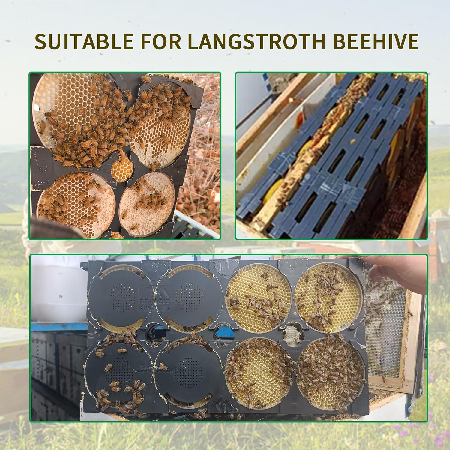 Honeycomb Frame Kit - 10 Year 5 Generation Upgraded Hive-to-Table Honey Processing Kit, Complete Langstroth Beehive