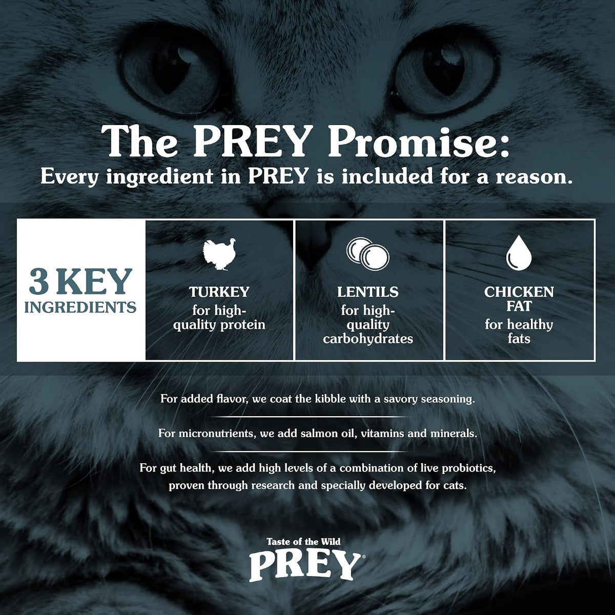 Prey Turkey Kitten, Adult & Senior Dry Cat Food 6lb
