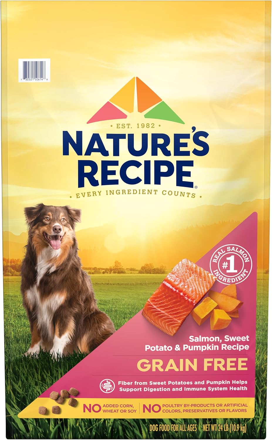 Grain Free Salmon Dry Dog Food, 24 lb. Bag