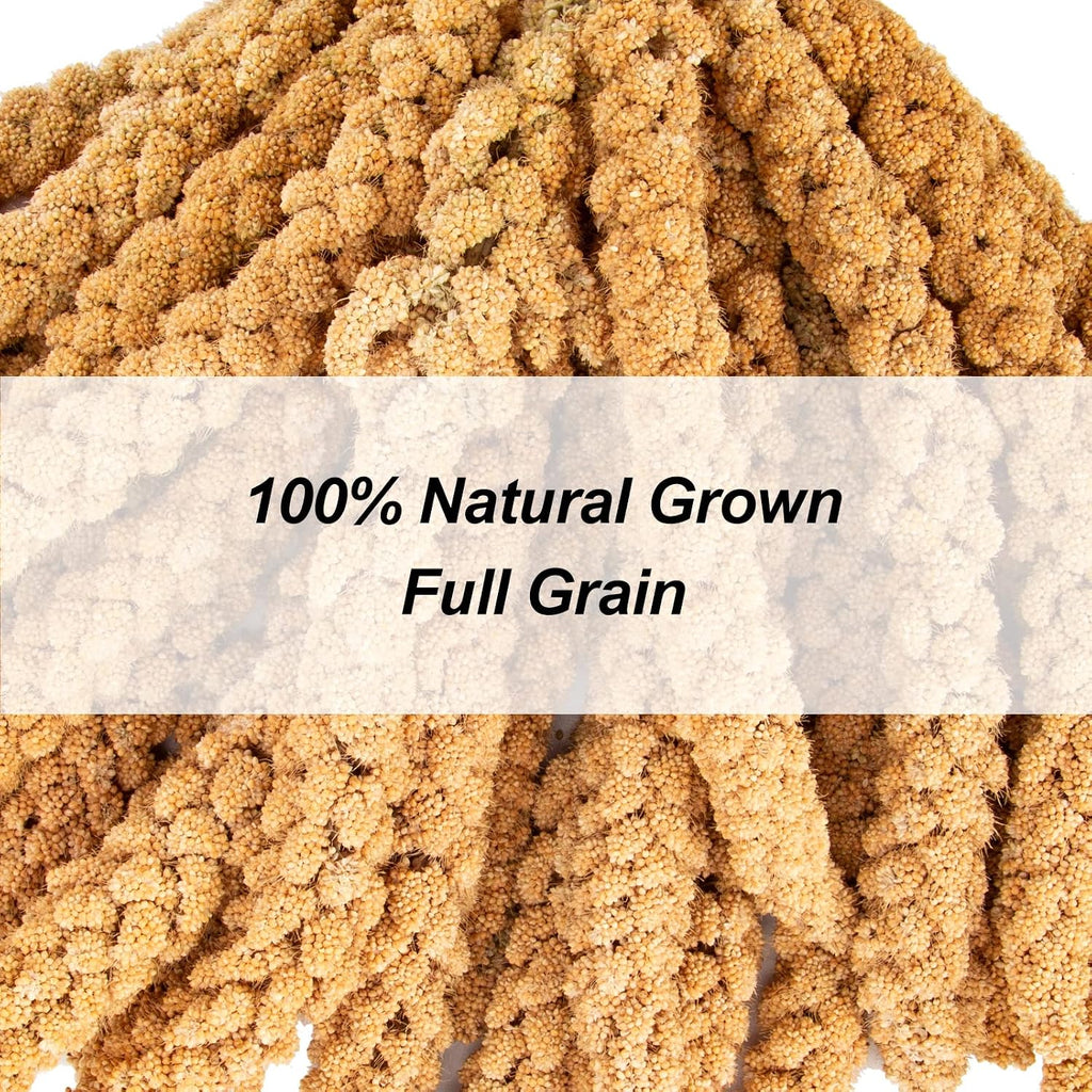 5.5LB Spray Millet for Parakeets, 100% Natural Sun-Dried Healthy Bird Treat, Non-GMO High Protein Fresh Millet Spray