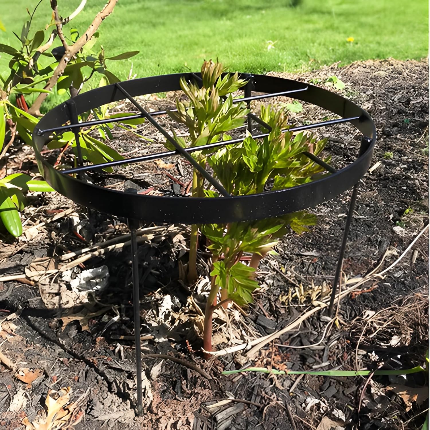 Large Peony Cages and Supports 18.9"x23.6" - Durable Round Garden Flower Rings | Tall Plant Support Stakes for