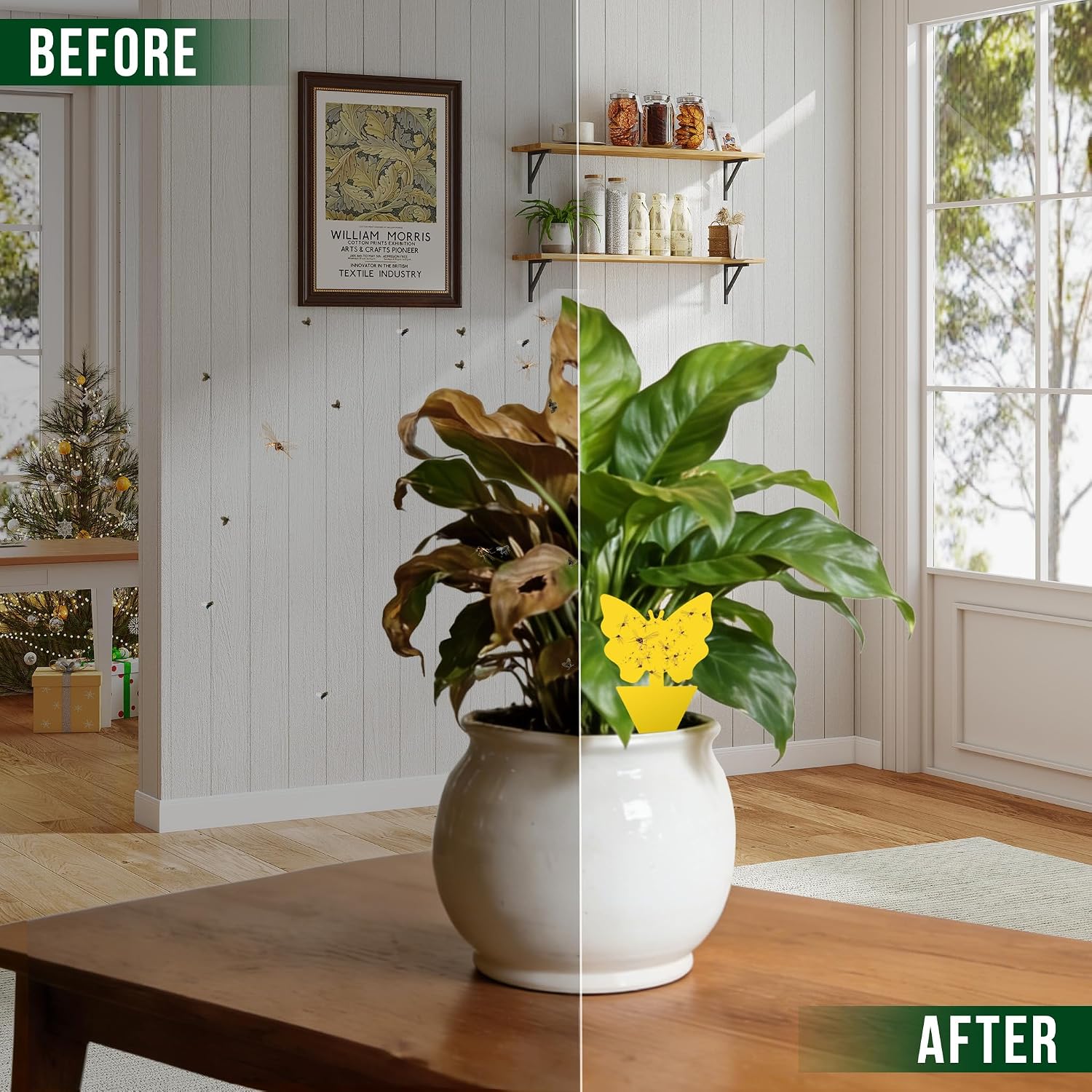 Fruit Fly Sticky Trap for Indoor and Outdoor, 36 Pack Fungus Gnat Killer for Houseplant,Mosquitos, Flying Insect