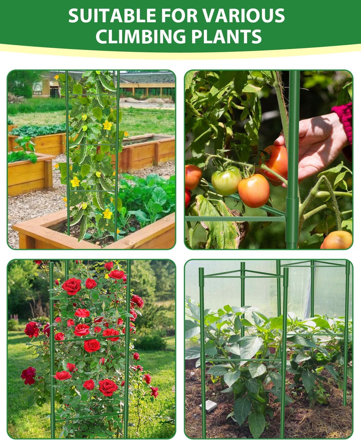 3 Pack Tomato Cages for Garden, 51in*13in Adjustable Tomatoes Plant Stakes Support Cages Trellis, Garden Trellis for