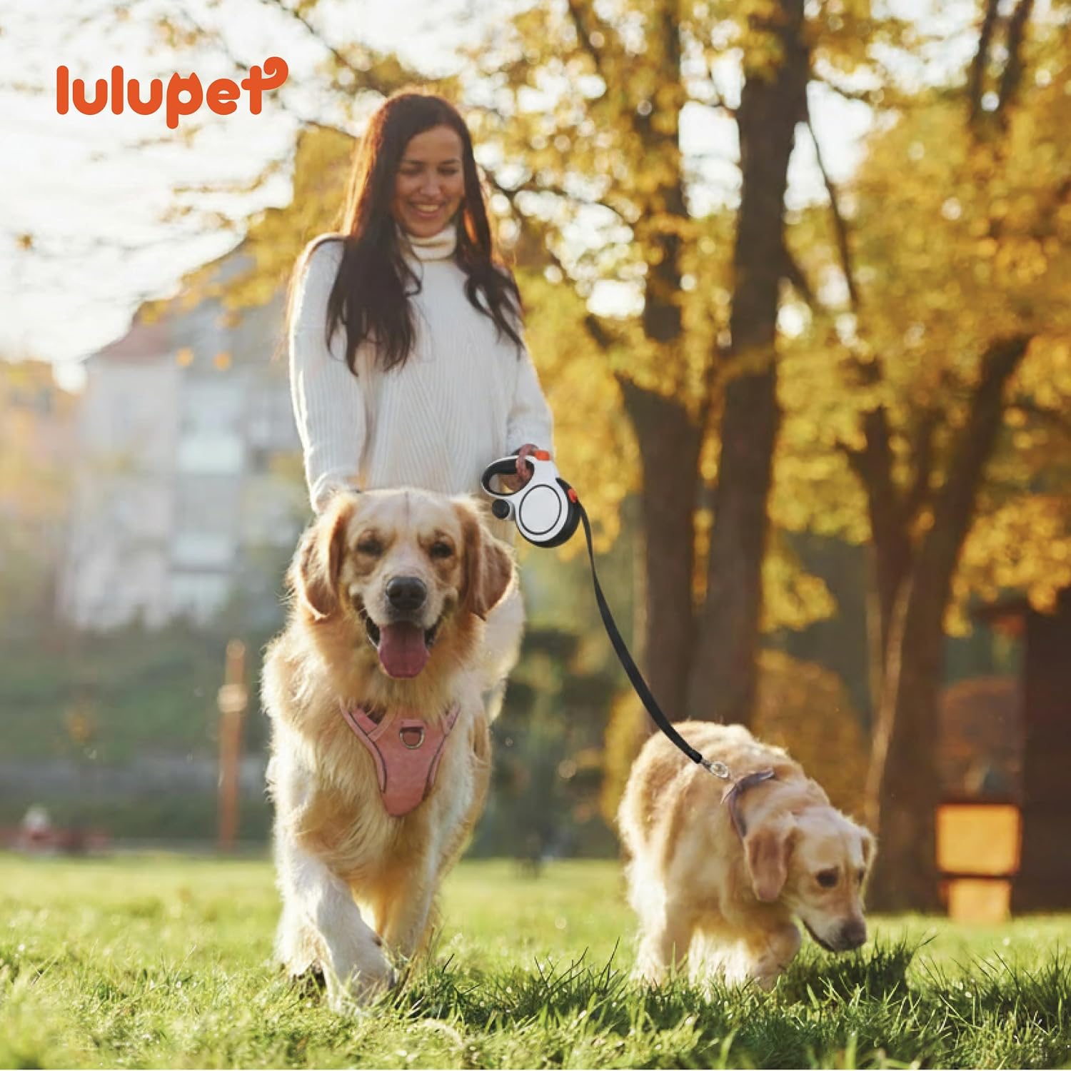 Dog Harness Leash Collar Set, No Pull Reflective Dog Vest Harness with Control Handle, Adjustable Breathable Pet