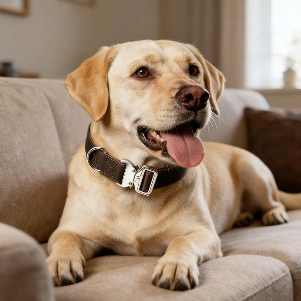 Leather Dog Collar 1.5in Wide, Quick-Release and Adjustable Design, Bn-Sl-L