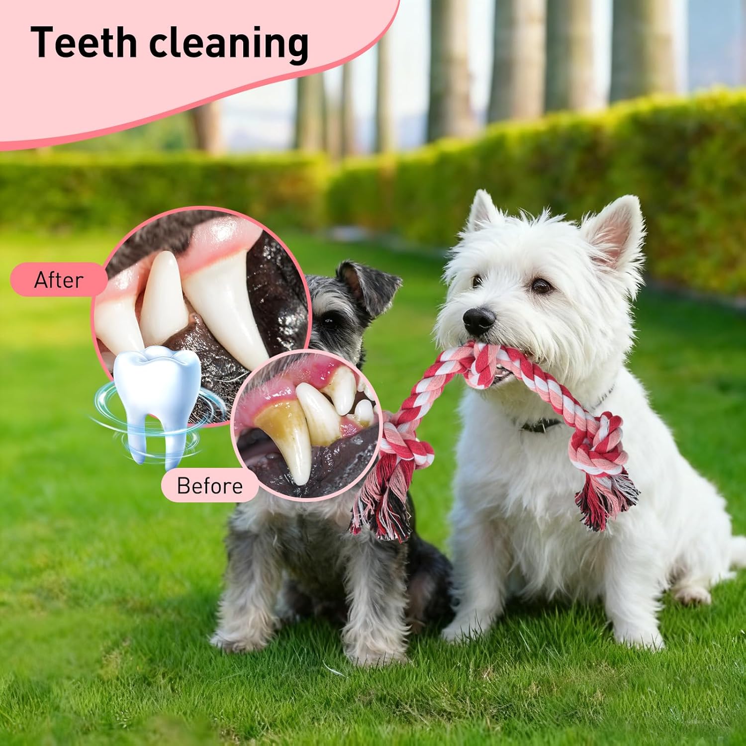 Dog Rope Toy 2 Pack, Rope Toys for Dogs, Chew Ropes for Small Breeds Puppies, Pull Toy for Tug of War, Energy