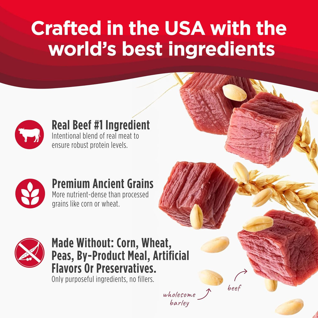 Frontrunner Dry Dog Food - Adult High-Protein Beef, Barley & Lamb Recipe, Natural Kibble with Ancient Grains