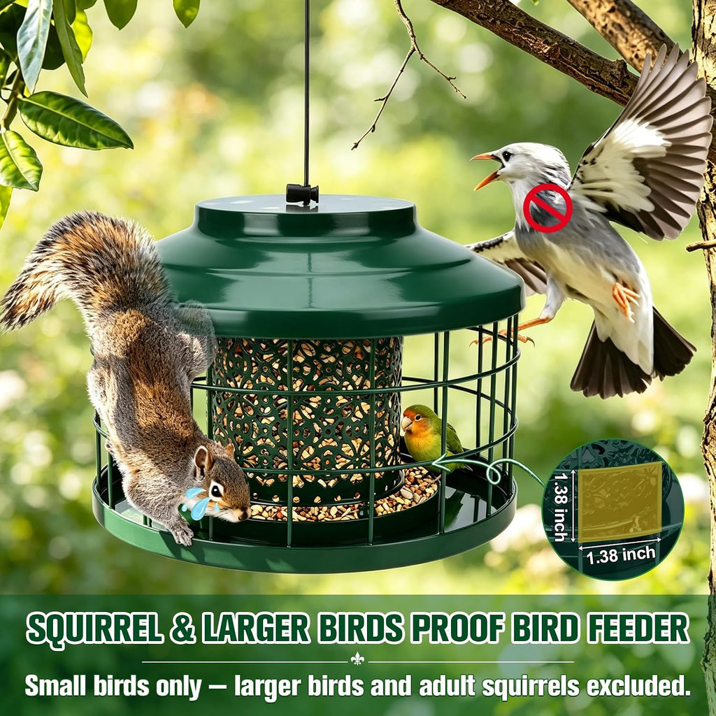 Metal Caged Bird Feeder for Outdoors Hanging, Squirrel & Starling Proof