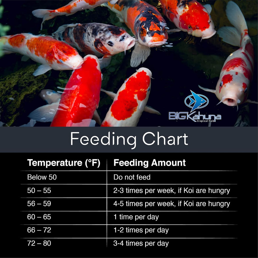 Big Kahuna Koi Fish Food for Ponds 45lbs - Koi Food for Pond Fish Food Pellets – 3/16-1/4 Floating Pond Pellet