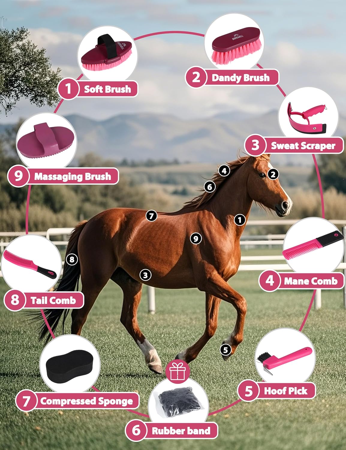 8-piece Horse Grooming Kit, Complete Horse Brush Set