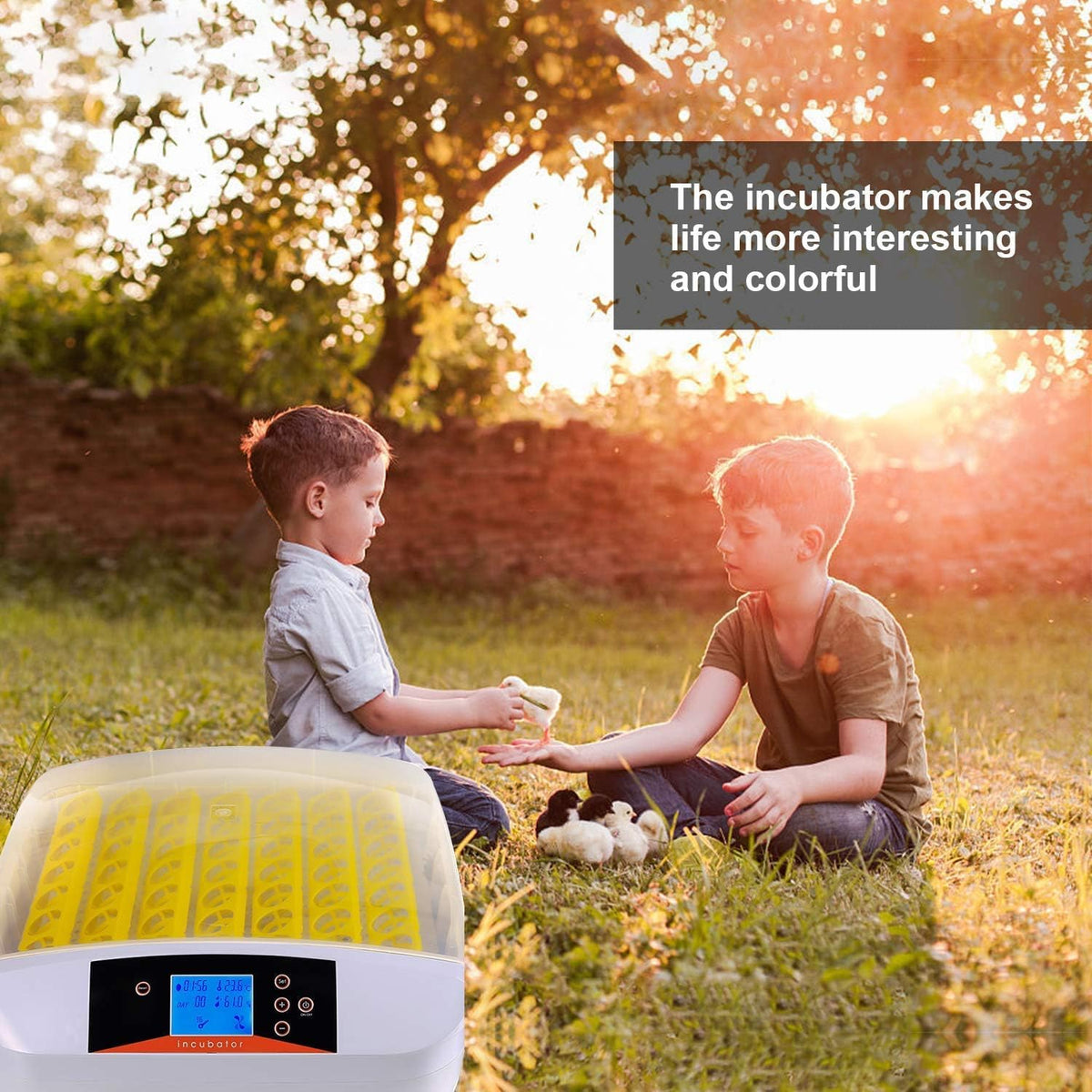 55 Egg Incubator with Auto Turner & Humidity Control 360° View