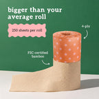 Bare Naked Unbleached Bamboo Toilet Paper, 12 Rolls, 250 Sheets, 4-Ply