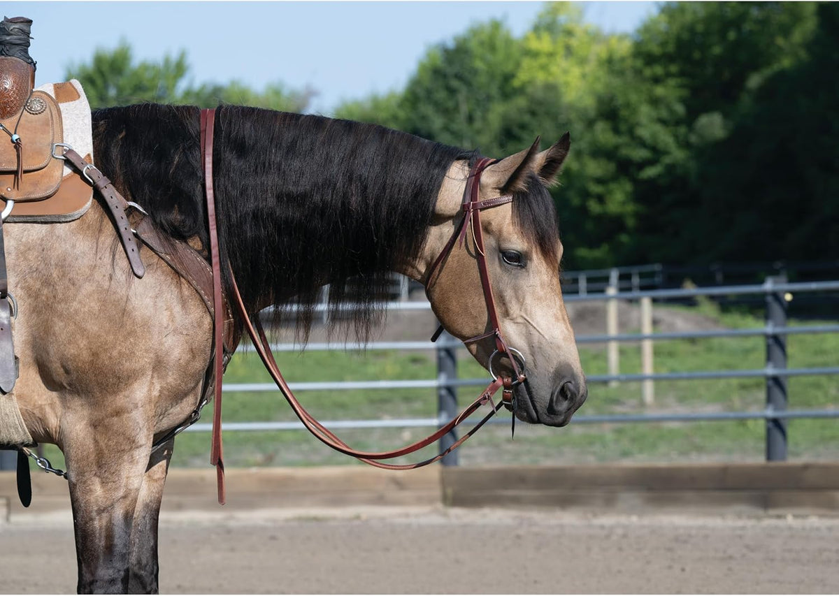 Weaver Leather ProTack Oiled Split Reins