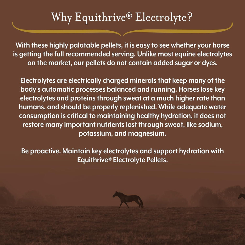 Electrolyte Pellets Horse Supplement, 4 lbs, 20 Day Supply