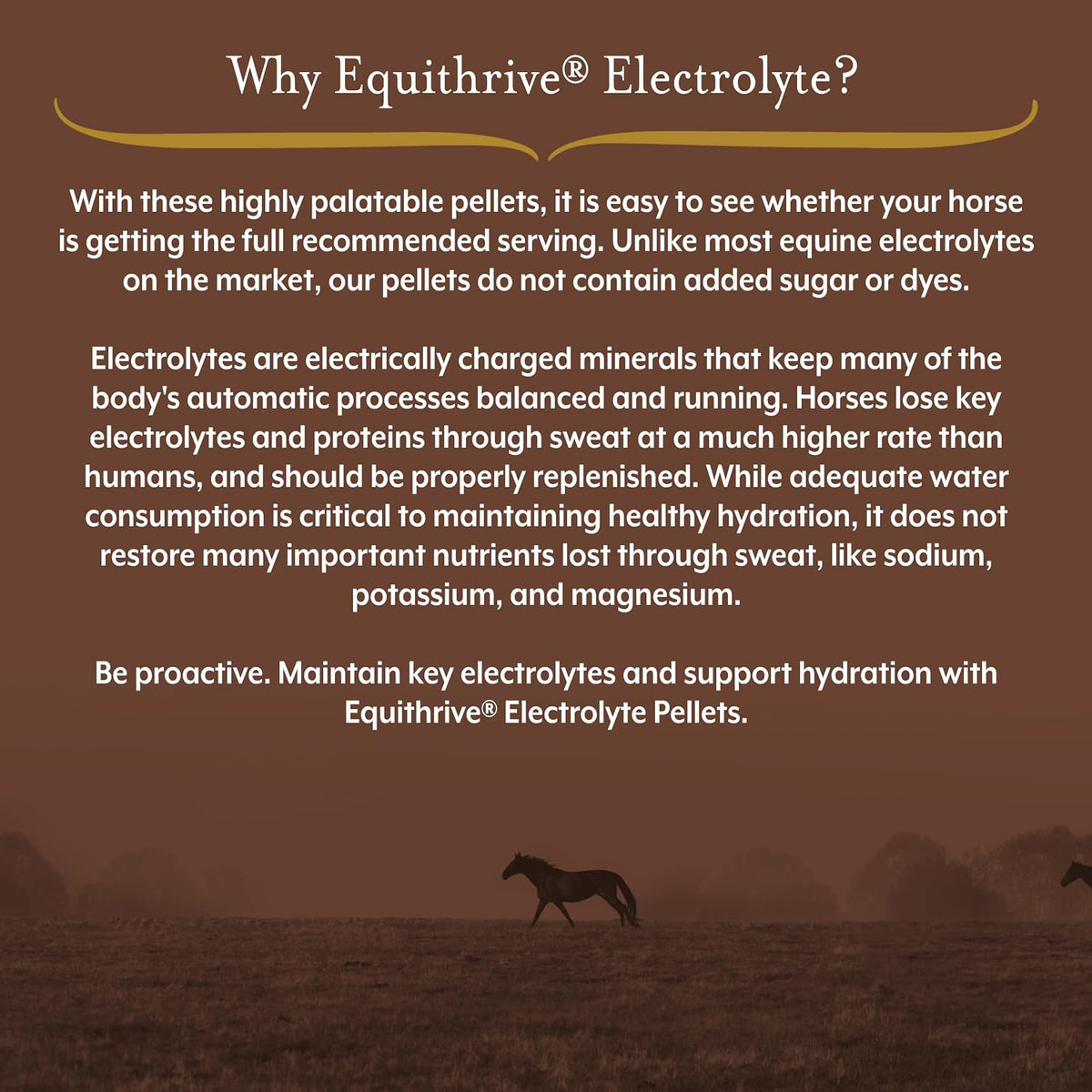 Electrolyte Pellets Horse Supplement, 4 lbs, 20 Day Supply