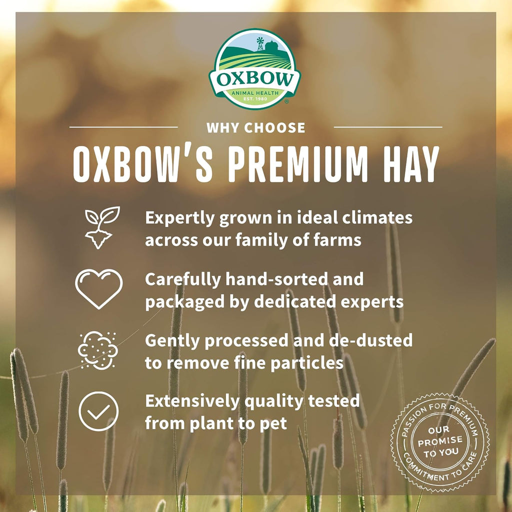 Timothy Hay & Orchard Blend, Rabbit & Guinea Pig Hay, USA, 40 oz