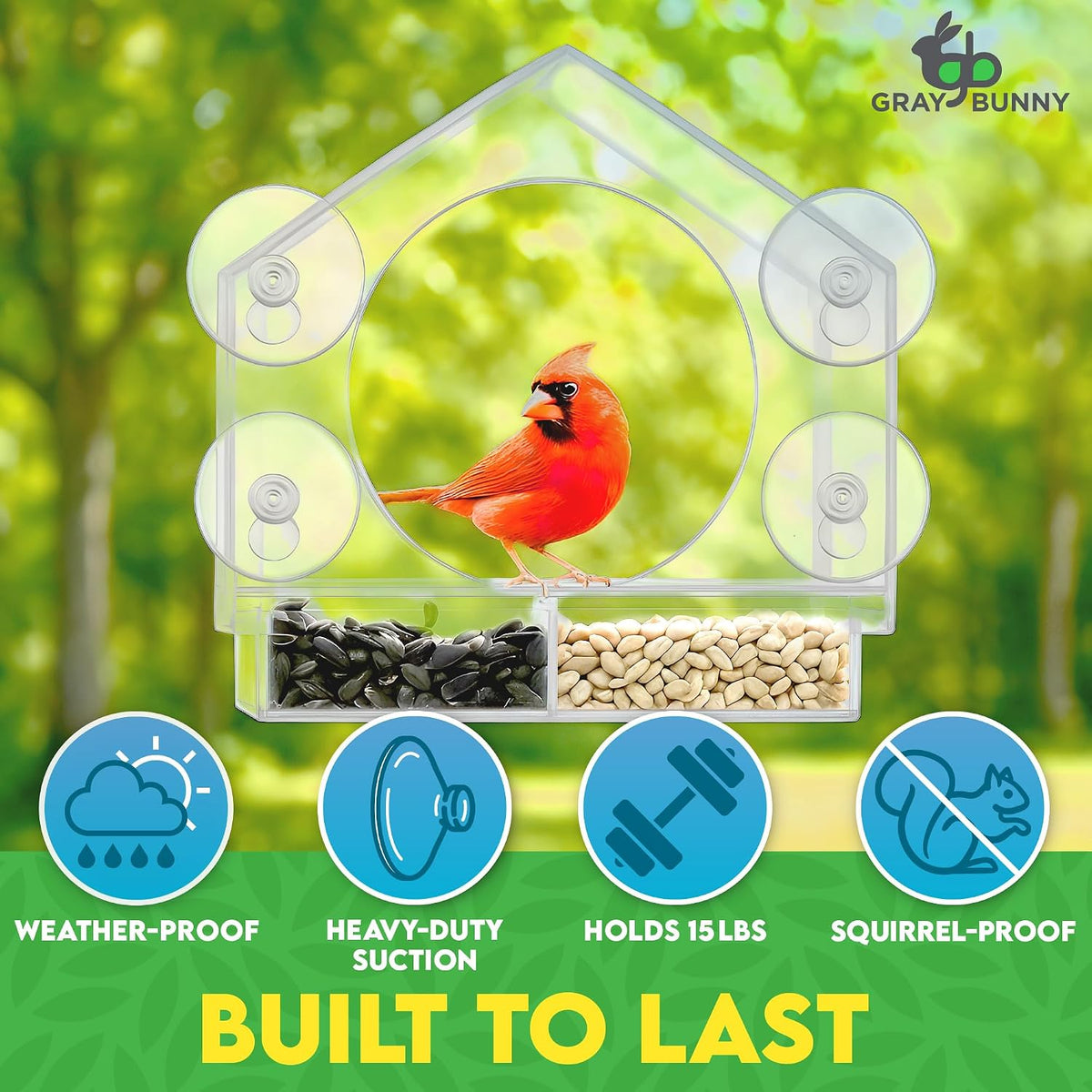 Window Bird Feeder House – Suction Cup Mount Feeder