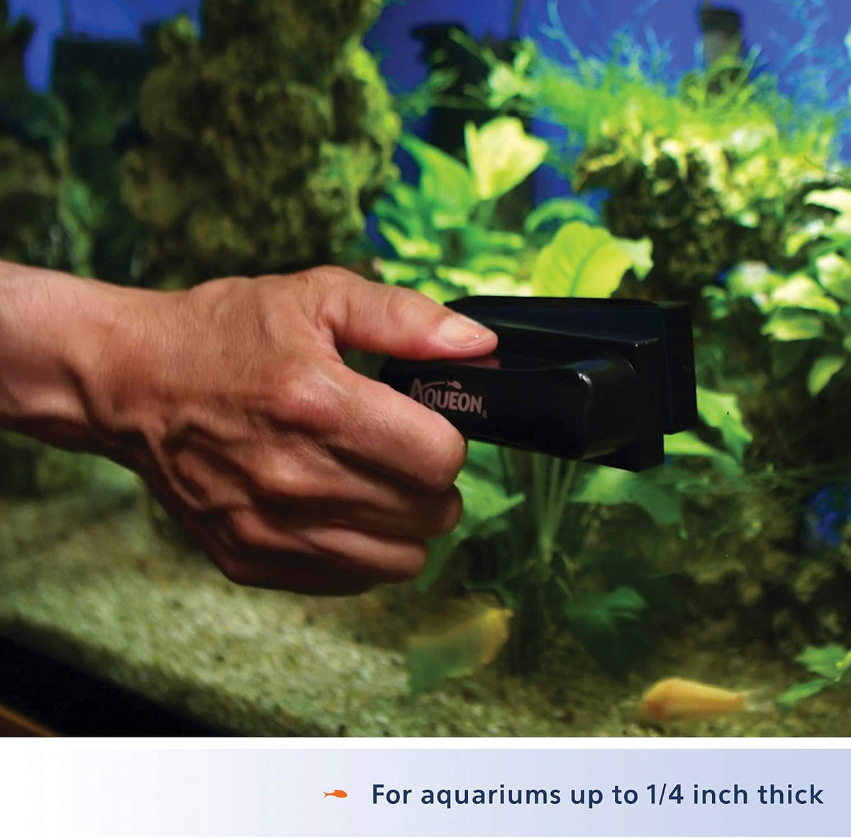Aquarium Algae Scraper, Fish Tank Cleaning Magnet, Small