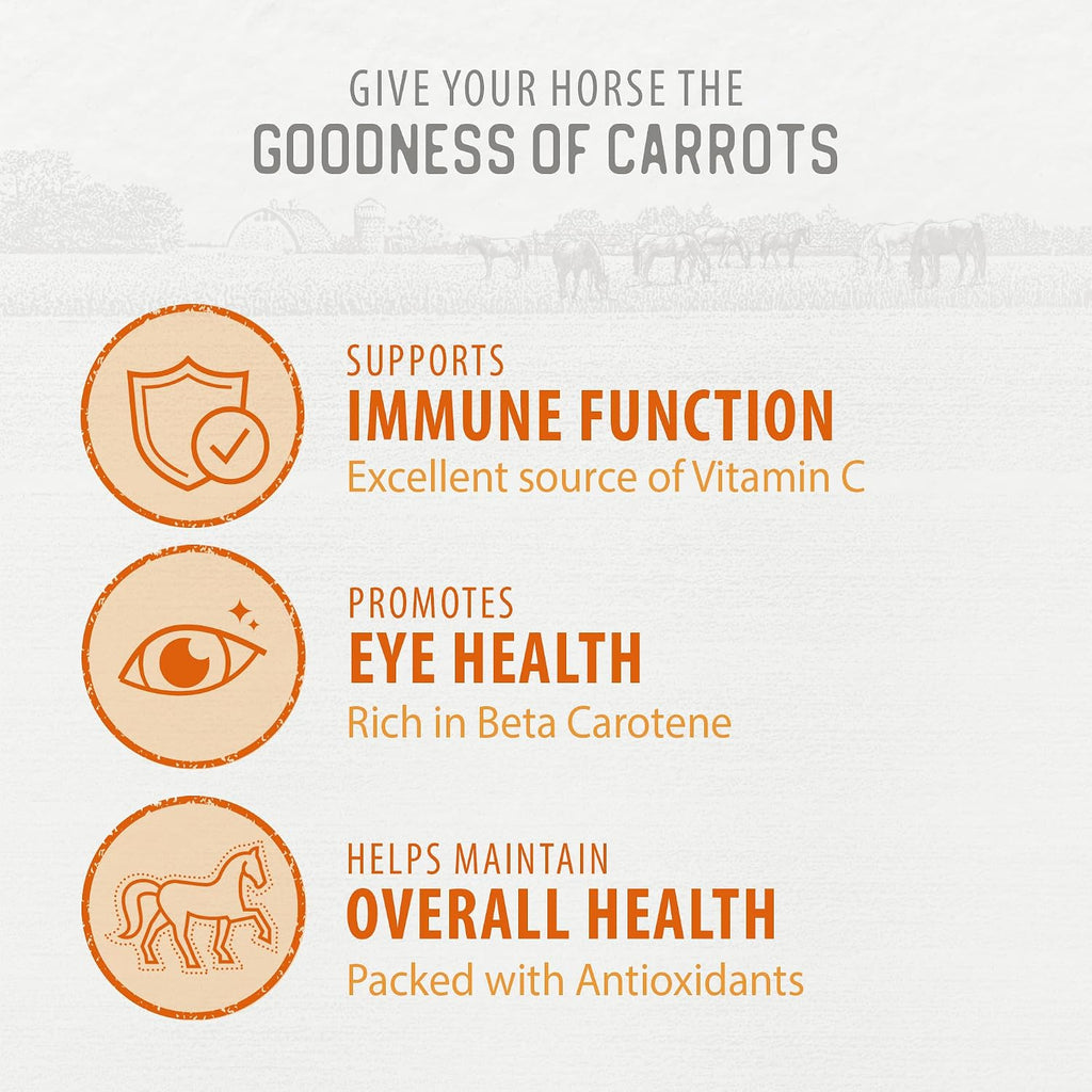 Carrot Slices Horse Treats, 11.5 oz
