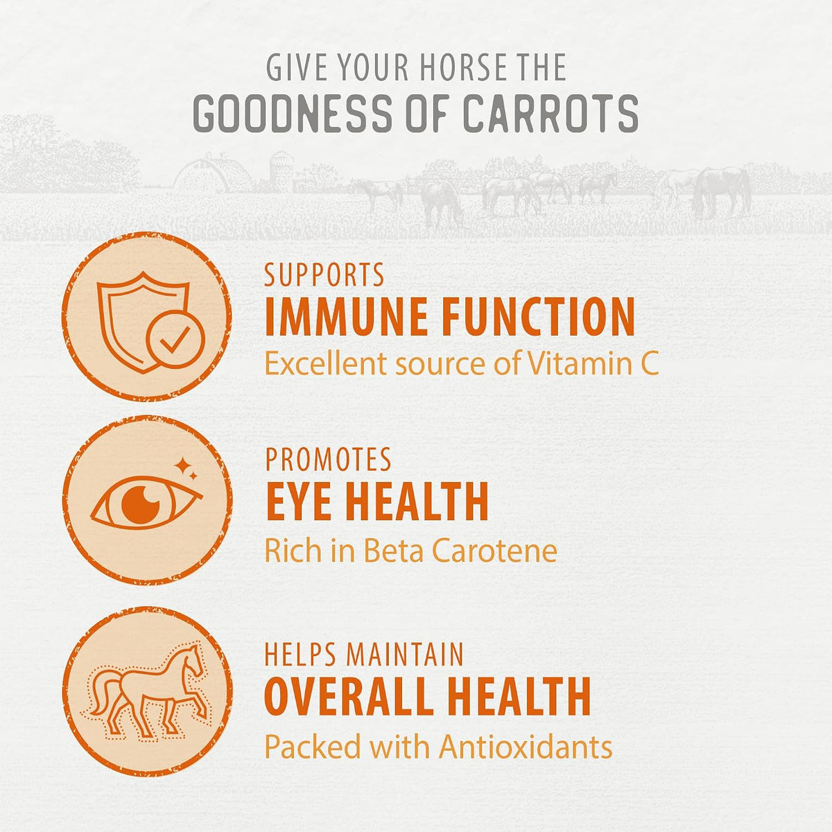 Carrot Slices Horse Treats, 11.5 oz
