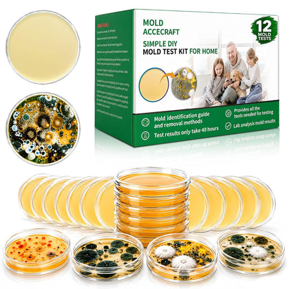 Mold Test Kit for Home | 12 Tests for Air, HVAC & Surfaces | 48-Hour Results with Identification Guide