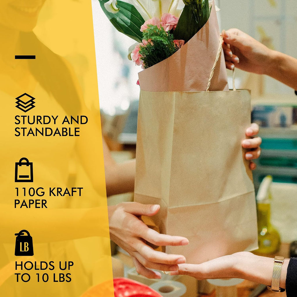 Large Brown Kraft Paper Bags 100 Pack 10x5x13 in with Handles