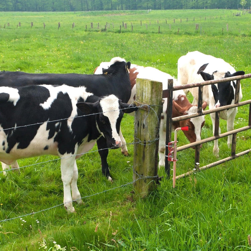 2 Pack 18 Inch Farm Gate Latch Farm Anchor Cane Bolt Livestock Fence Drop Rod Stop Tube Gate Stop for Farms Pastures