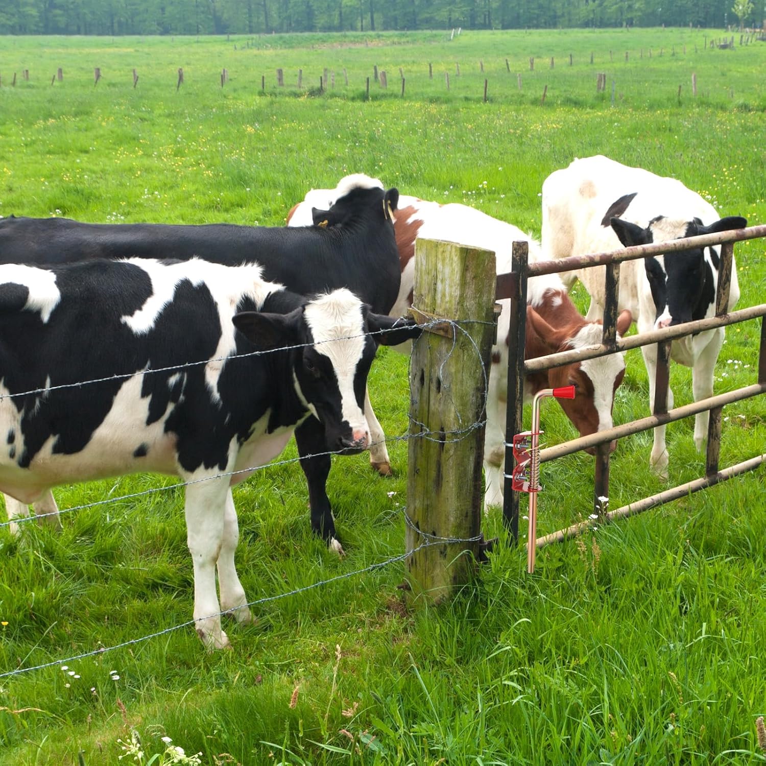 2 Pack 18 Inch Farm Gate Latch Farm Anchor Cane Bolt Livestock Fence Drop Rod Stop Tube Gate Stop for Farms Pastures