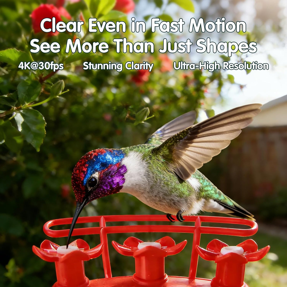 4K Hummingbird Feeder with Camera,No Subscription,Solar Powered