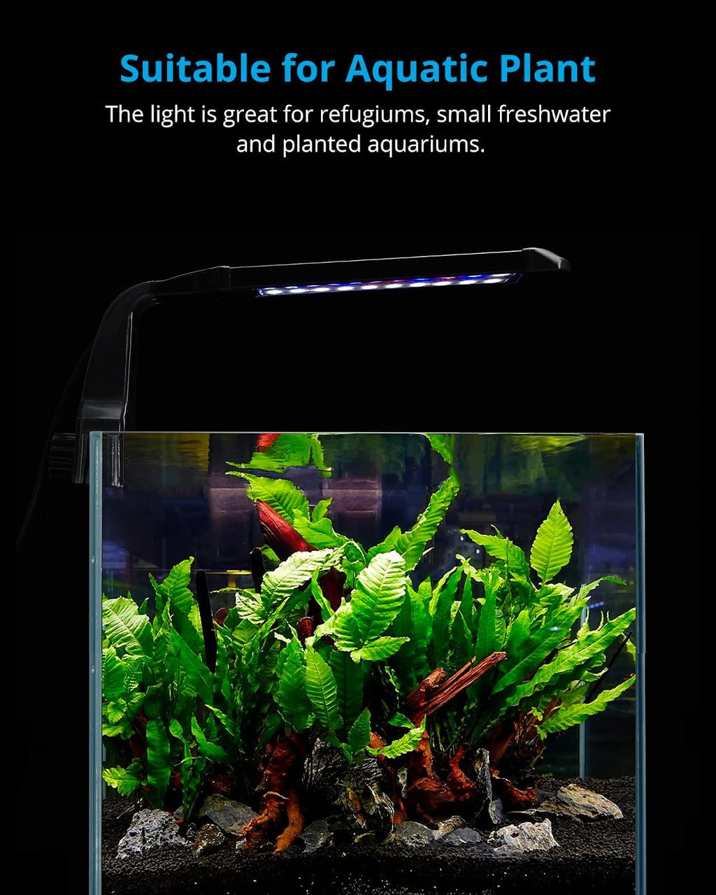 Clip-on Planted Aquarium Light for Fish Tank | Plant-Optimized Full Spectrum, Independent Brightness Control, Sunrise