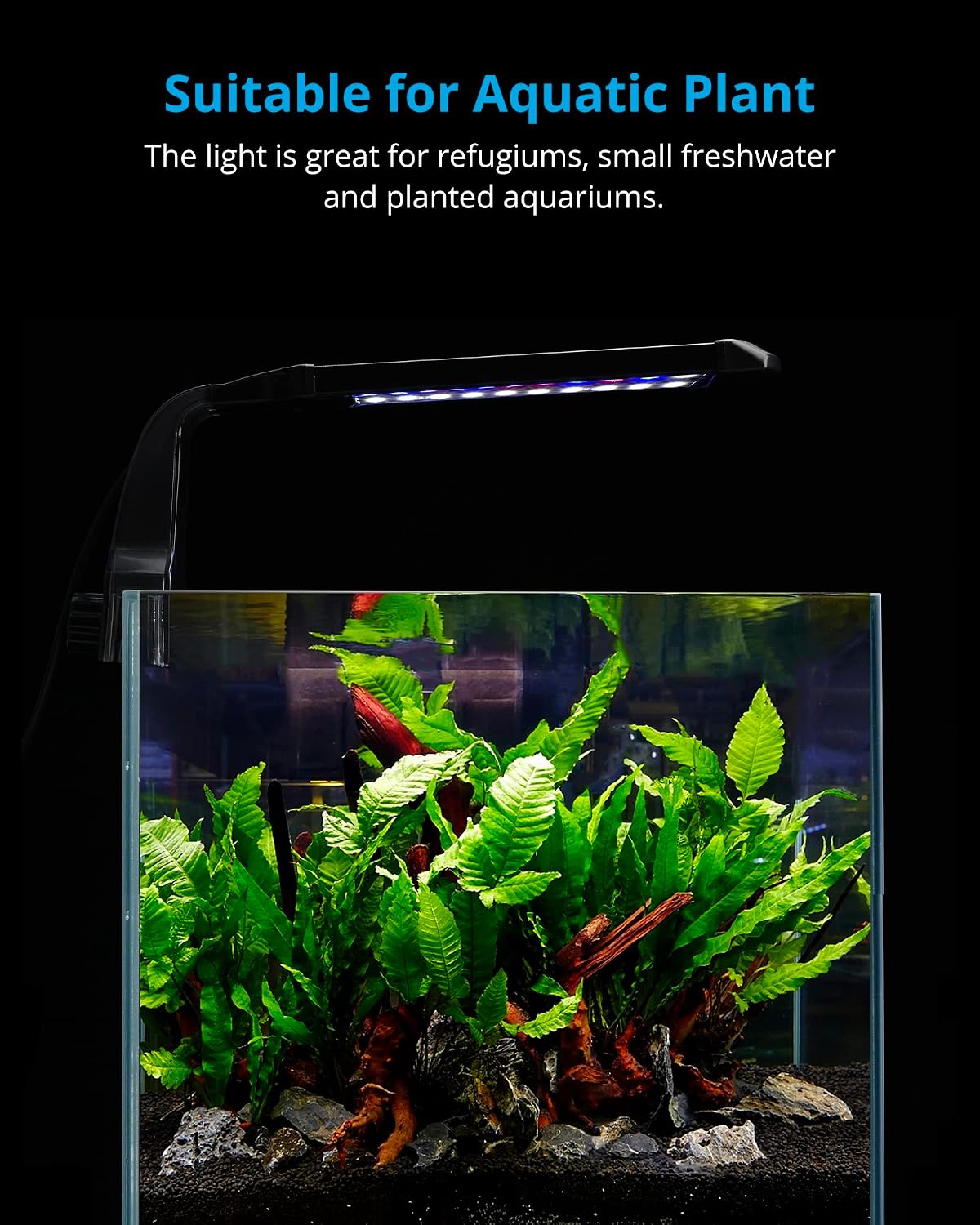 Clip-on Planted Aquarium Light for Fish Tank | Plant-Optimized Full Spectrum, Independent Brightness Control, Sunrise