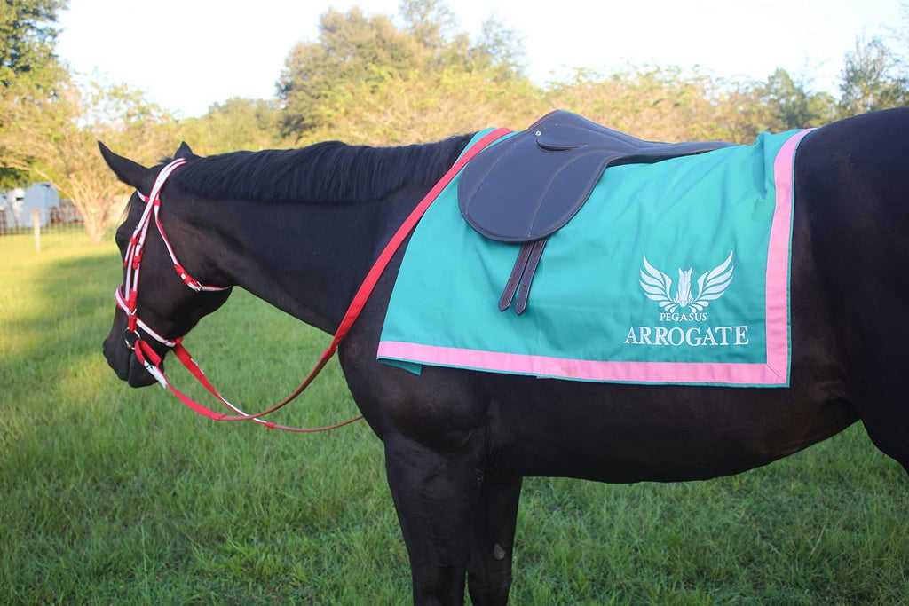 Custom Saddle Towel with Trim, Embroidered Saddle Pad for Horses