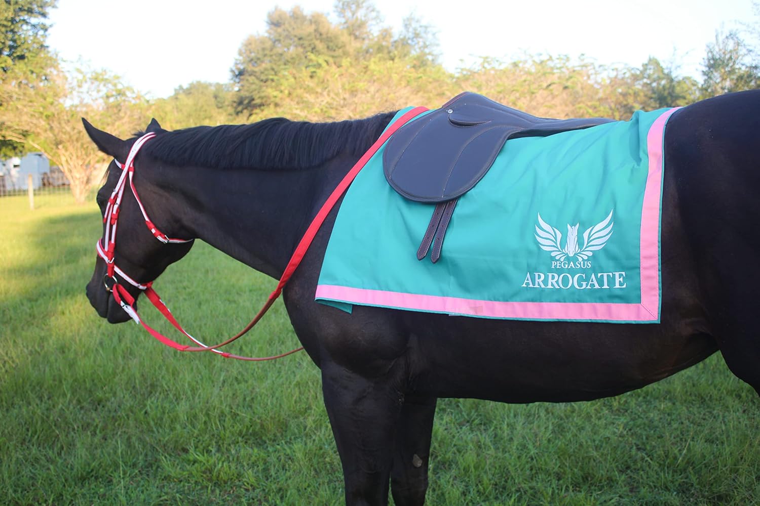 Custom Saddle Towel with Trim, Embroidered Saddle Pad for Horses