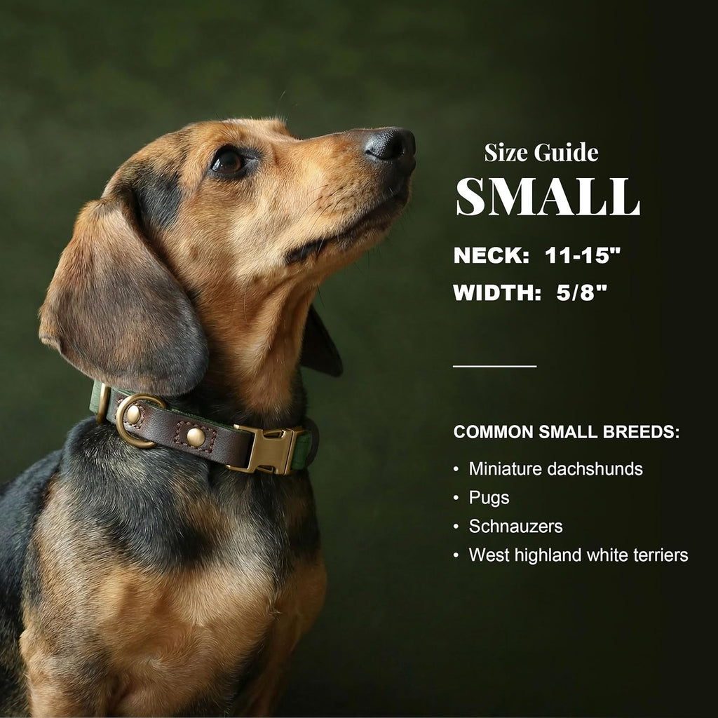 PU Leather Dog Collar for Small Dogs Puppy, Soft Lining, Green S
