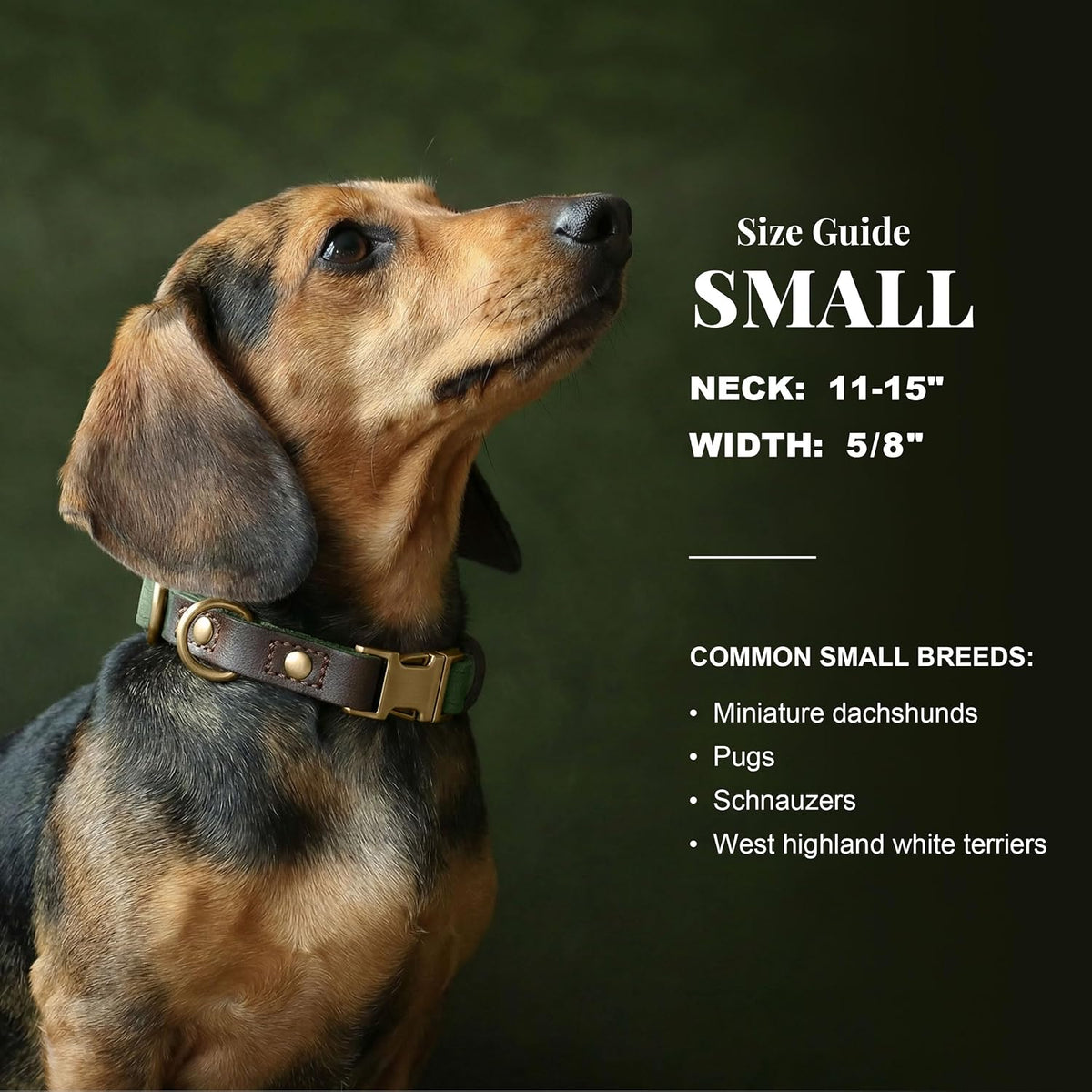 PU Leather Dog Collar for Small Dogs Puppy, Soft Lining, Green S