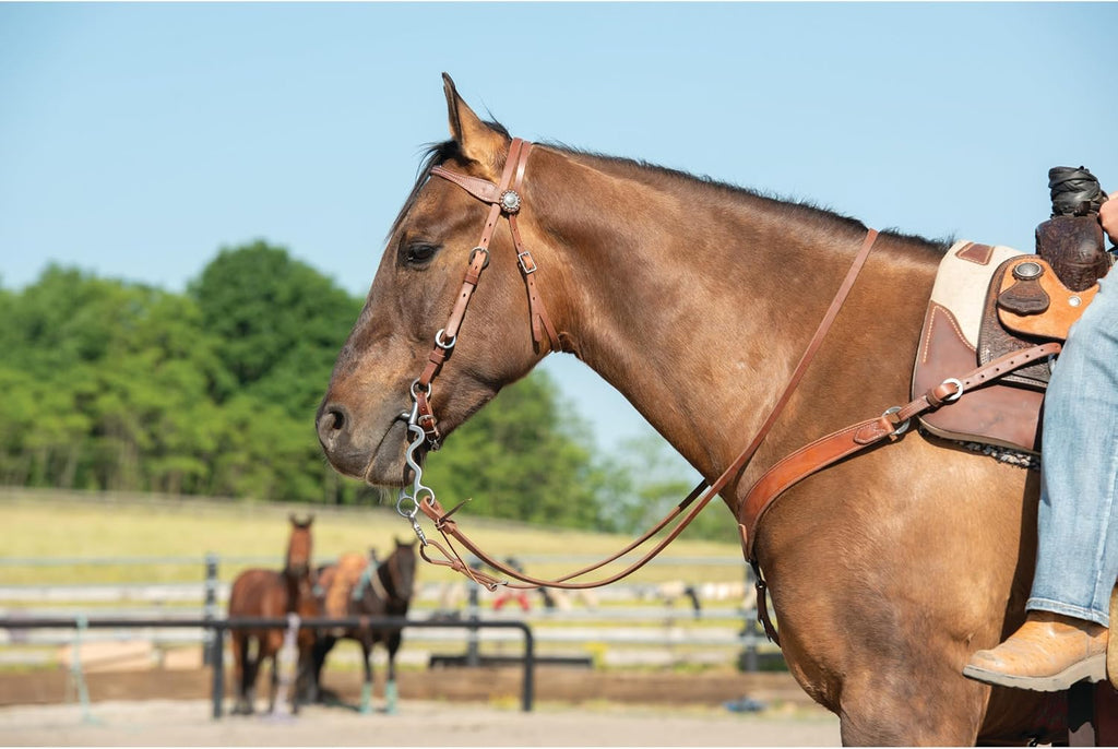 Stacy Westfall Horse Headstall, Leather, Adjustable Fit
