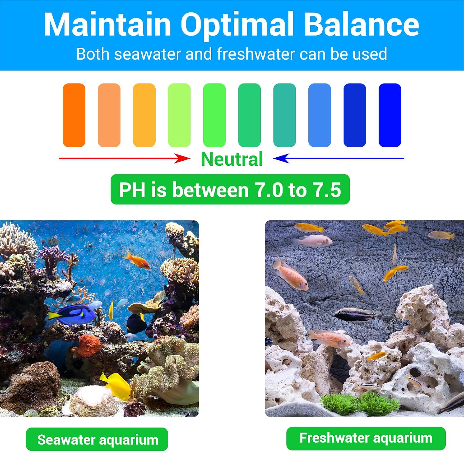 Filter Media,12 in 1 Bio Media for Aquarium Sump Filter Ceramic Rings Activated Carbon Bio Balls Freshwater Marine