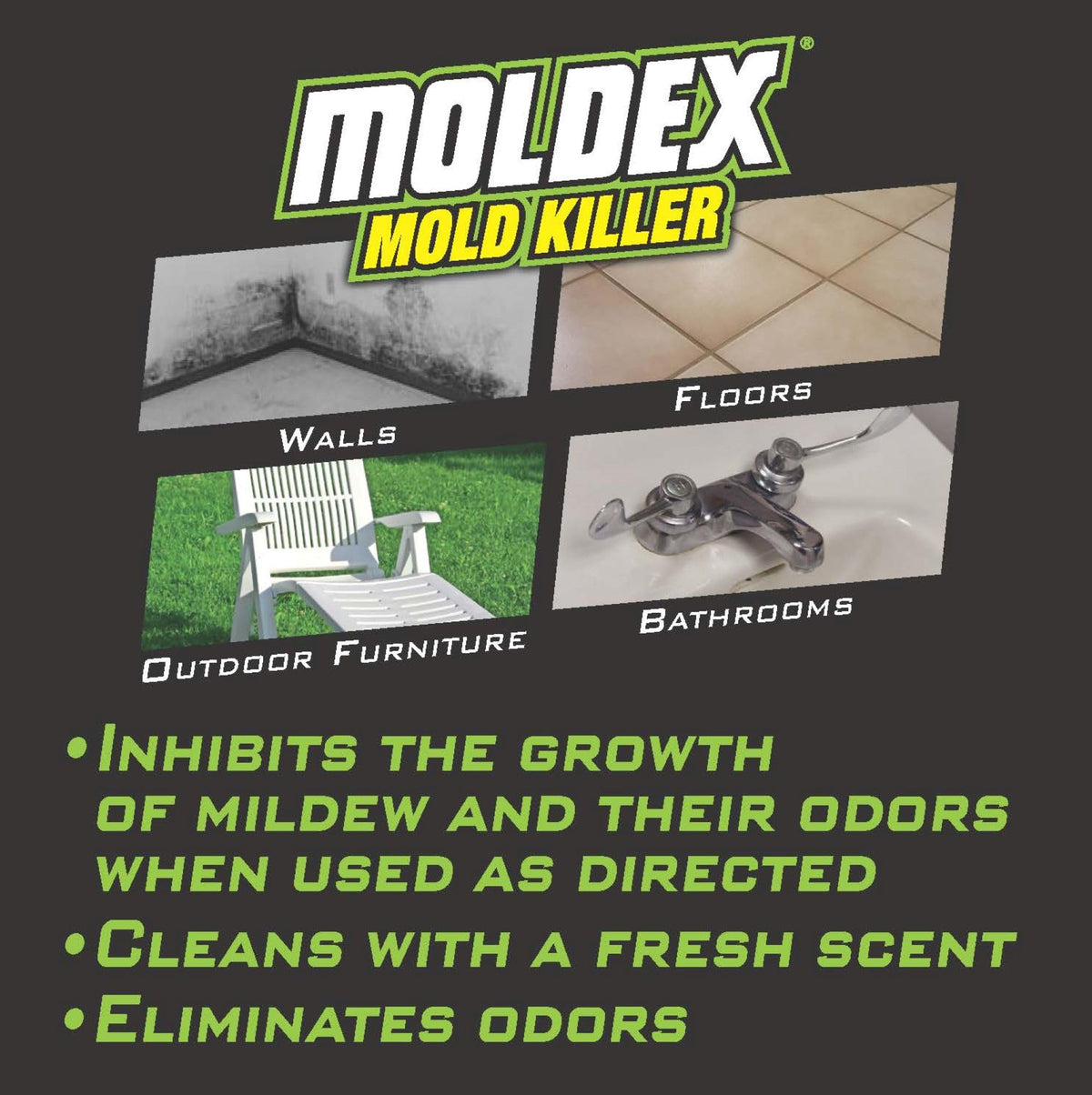 Mold Killer, Cleans, Deodorizes, Disinfects, 32 oz