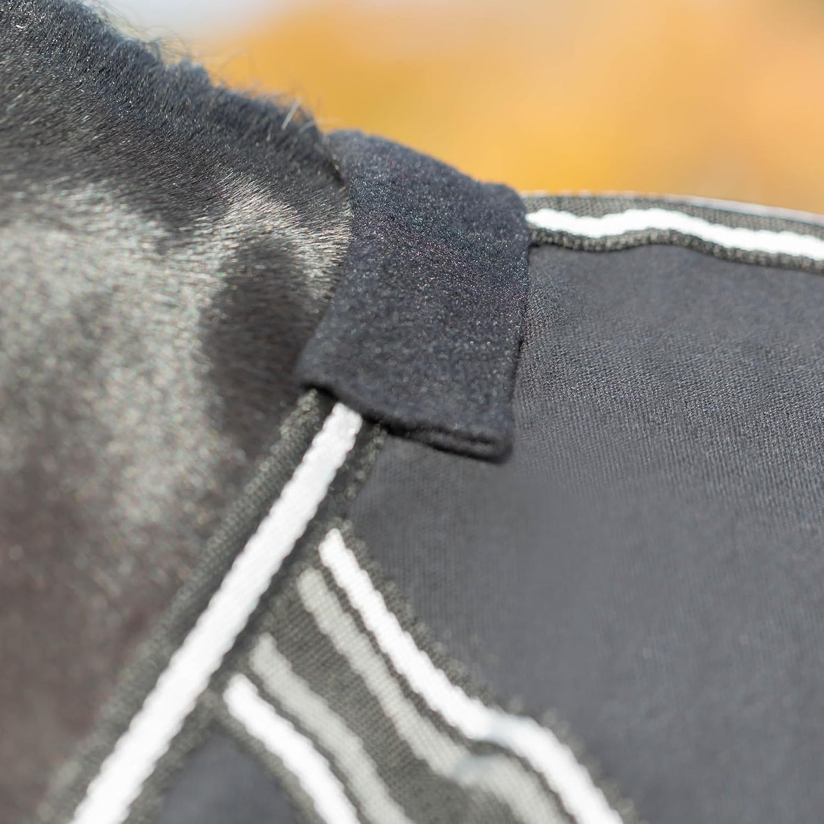 Fryd 100% Cotton Stable Blanket for Horses | No Fill - Black - 80 in