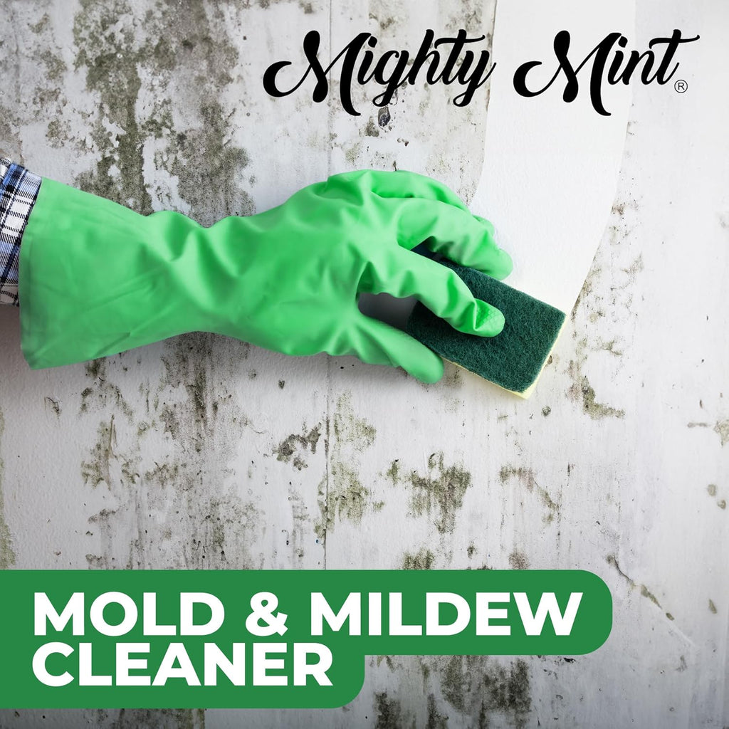 Mold & Mildew Stain Remover Spray, Rapid Clean for Bathroom, Kitchen, Hard Water, Outdoors, Natural Peppermint Scent