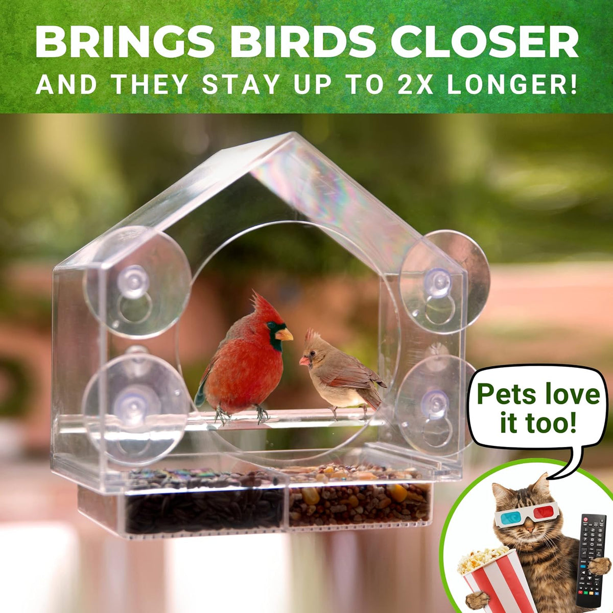Window Bird Feeder with Strong Suction Cups, Bird Feeders for Outdoors