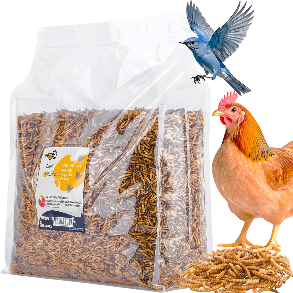 5LB Dried Mealworms for Chickens, Ducks & Wild Birds, High Protein Treat
